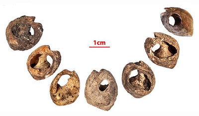 150,000-Year-Old Jewelry Represents Earliest Form of Widespread Human Communication